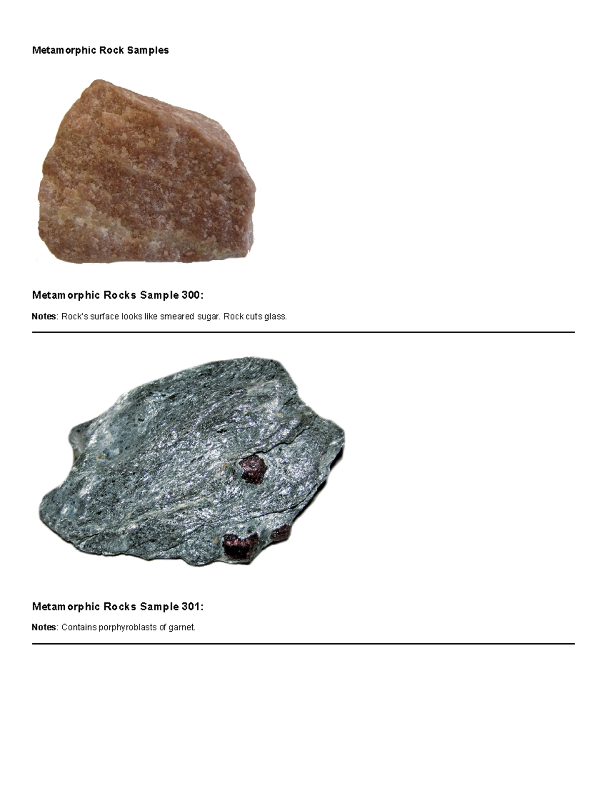 Metamorphic Rocks Samples - Fall 2023 - General Historical Geology Lab ...