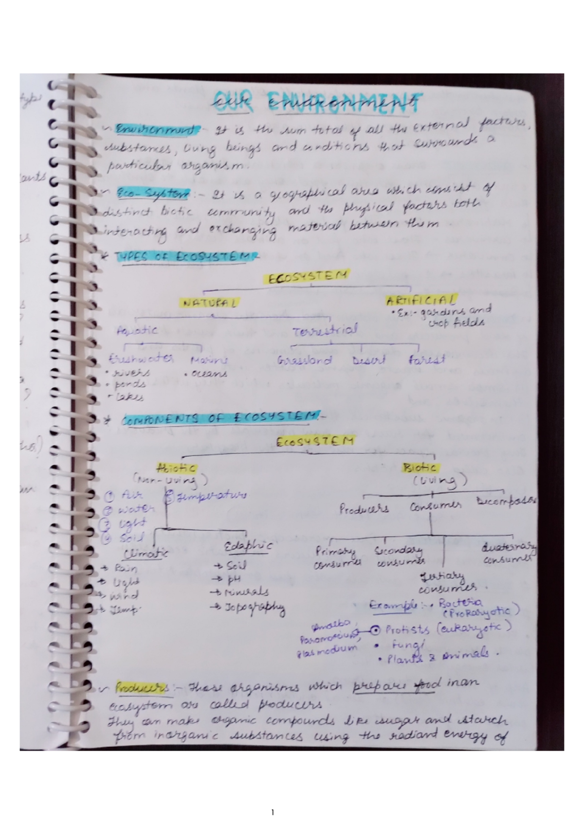 Our Environment - Physics class 10 electricity notes - OUR enarinment ...