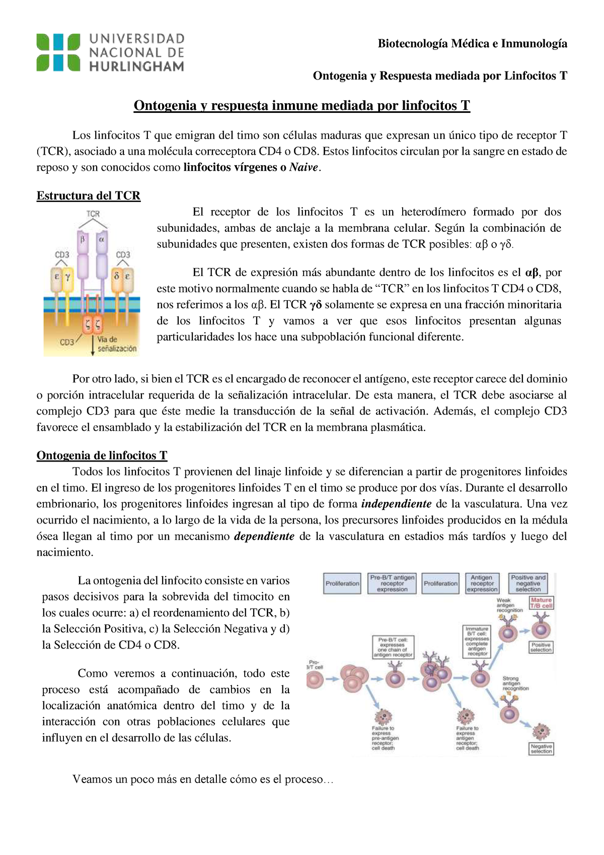 04. Ontogenia Y Respuesta T - Ontogenia Y Respuesta Mediada Por ...