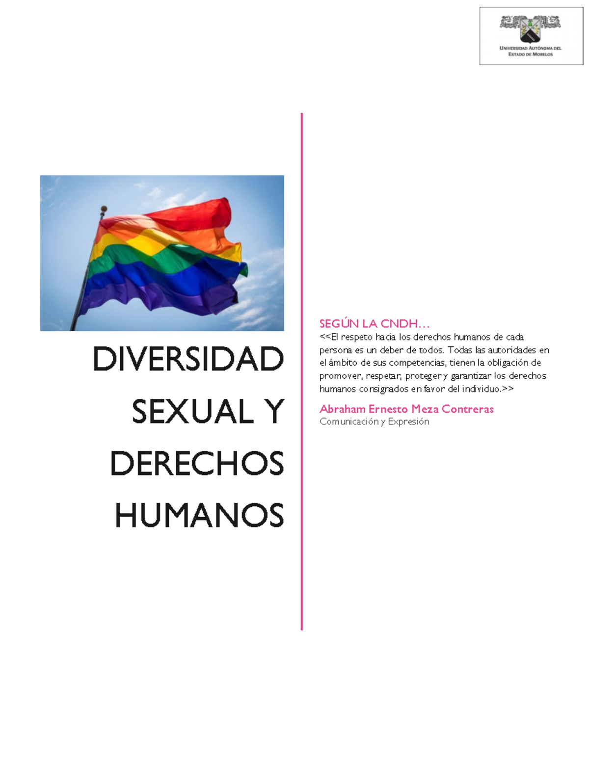 Diversidad Sexual Y Derechos Humanos Diversidad Sexual Y Derechos