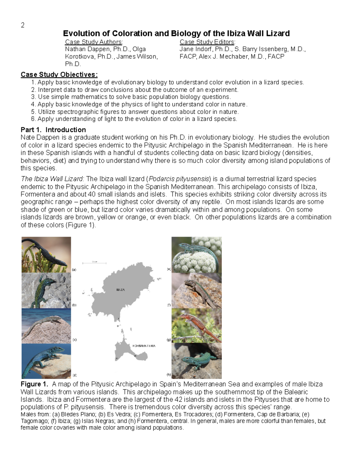 Workshop 1 - 2 Evolution of Coloration and Biology of the Ibiza Wall ...
