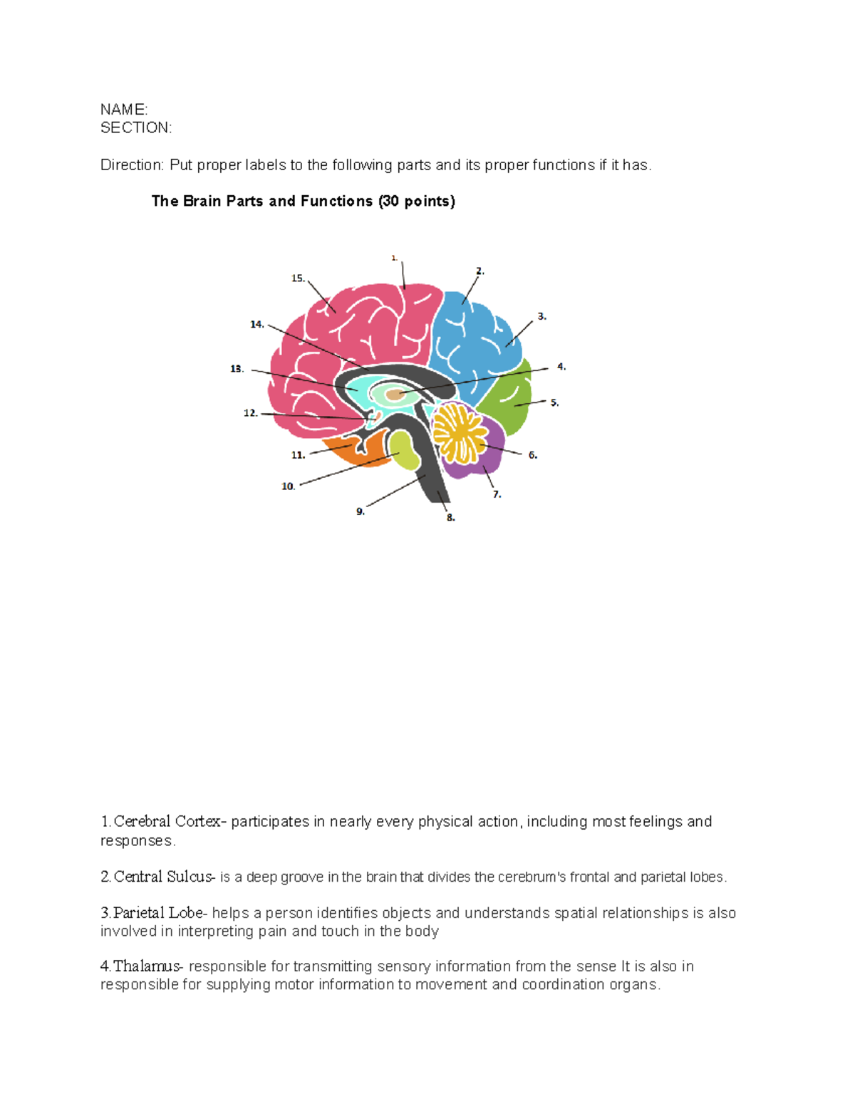 Introduction To Psychology activity about brain - NAME: SECTION ...