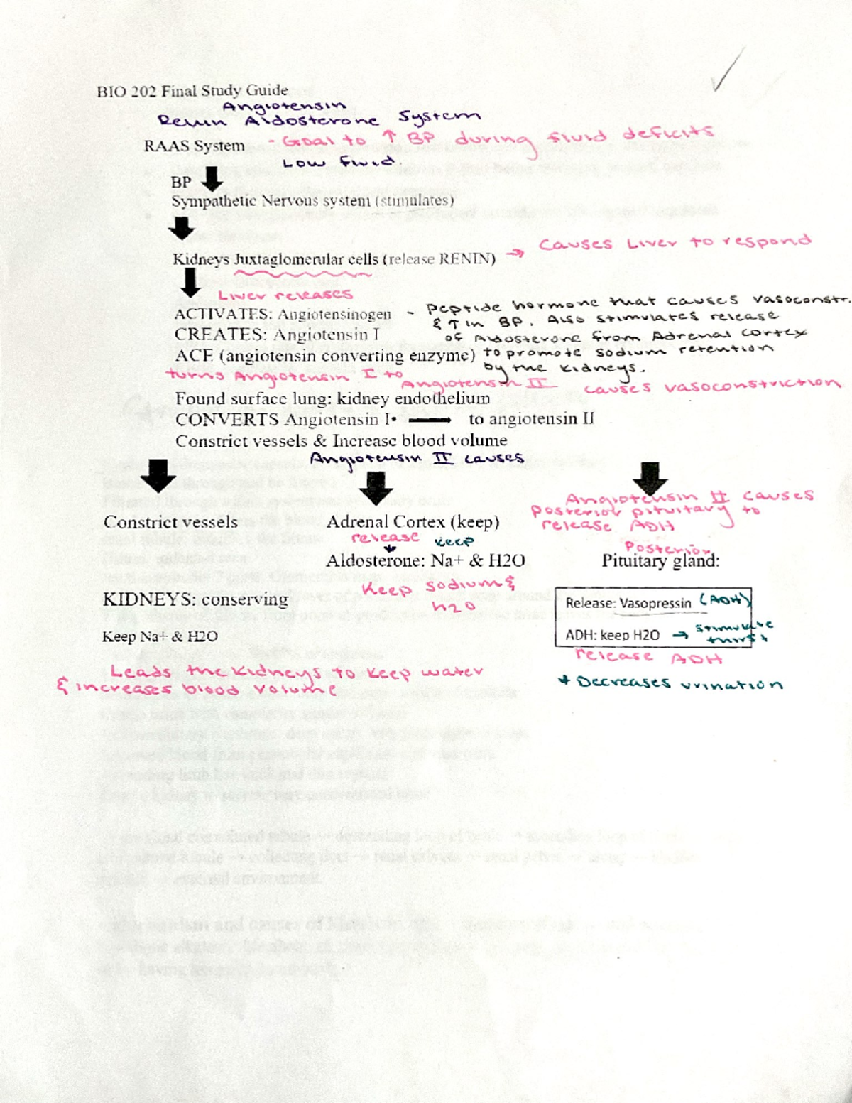 Jot Not 03-15-2024 - BIO202 - Studocu