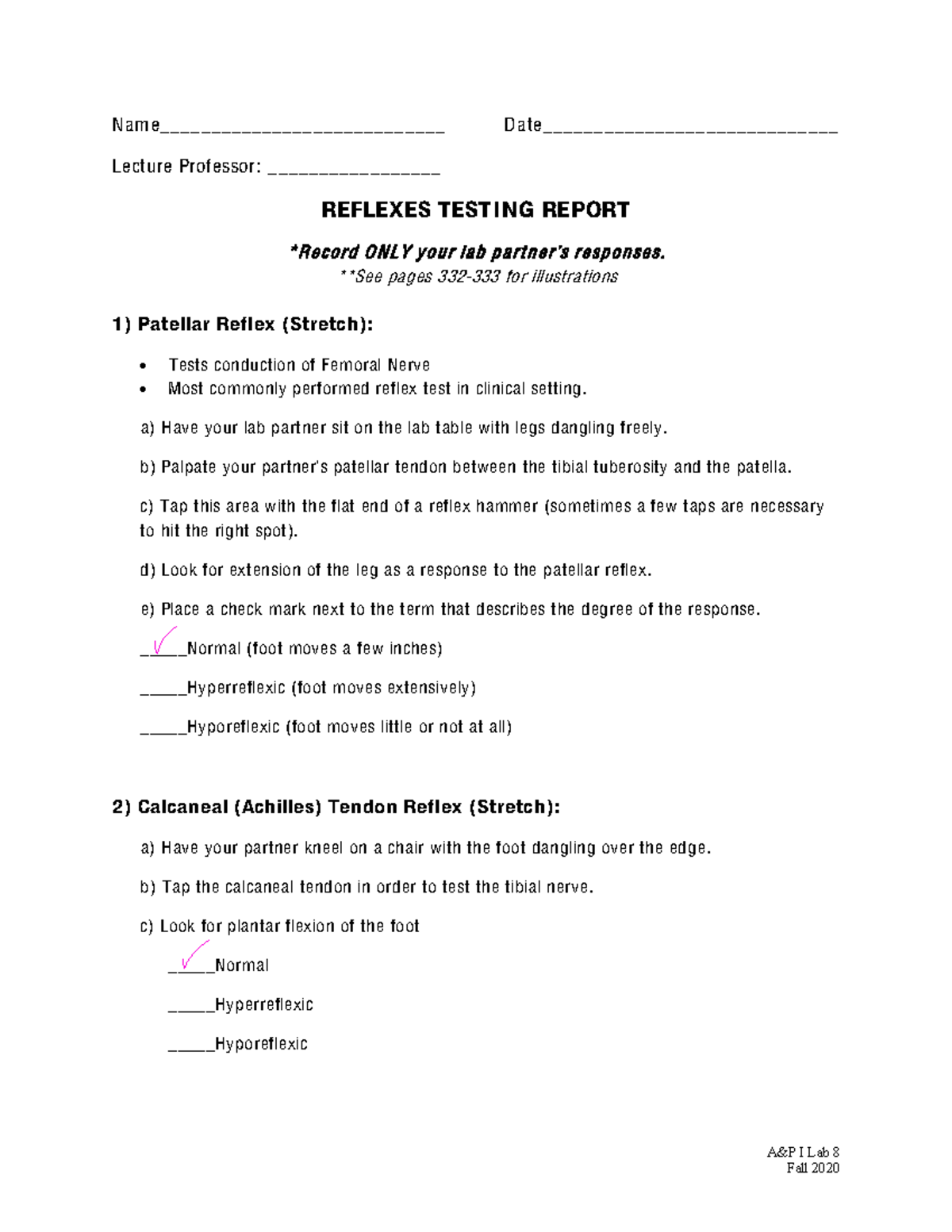 lab-13-my-lab-study-assignments-for-labs-8-and-9-a-p-i-lab-8-fall