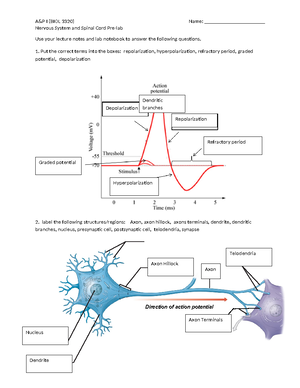 Muscle, origins, insertions, and functions - Muscle – Axial Face and ...