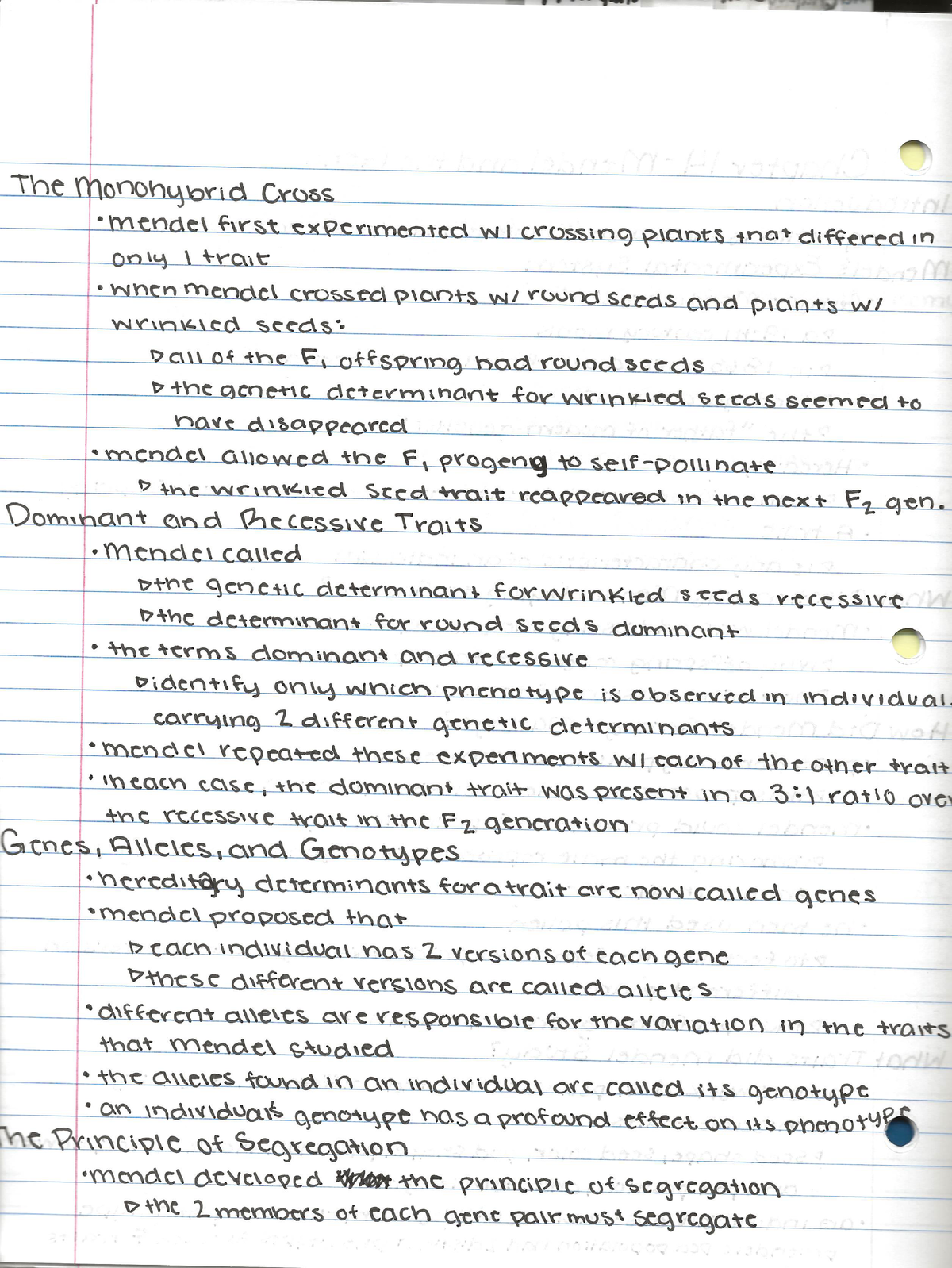 Biology Chapter 14 - BIO 111 - Studocu