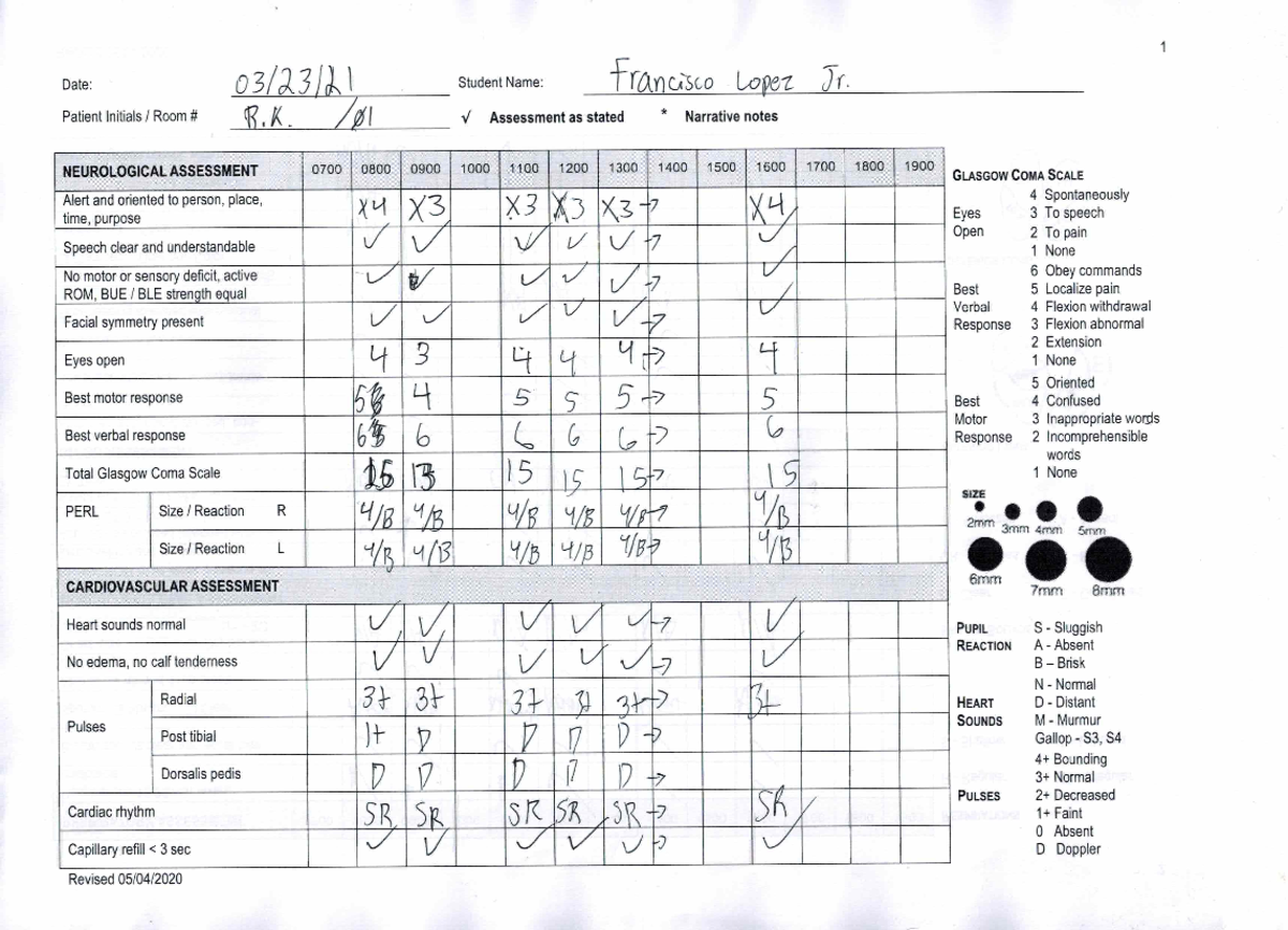 1301 Clinicals Flow Sheet 2 NUR4410 StuDocu