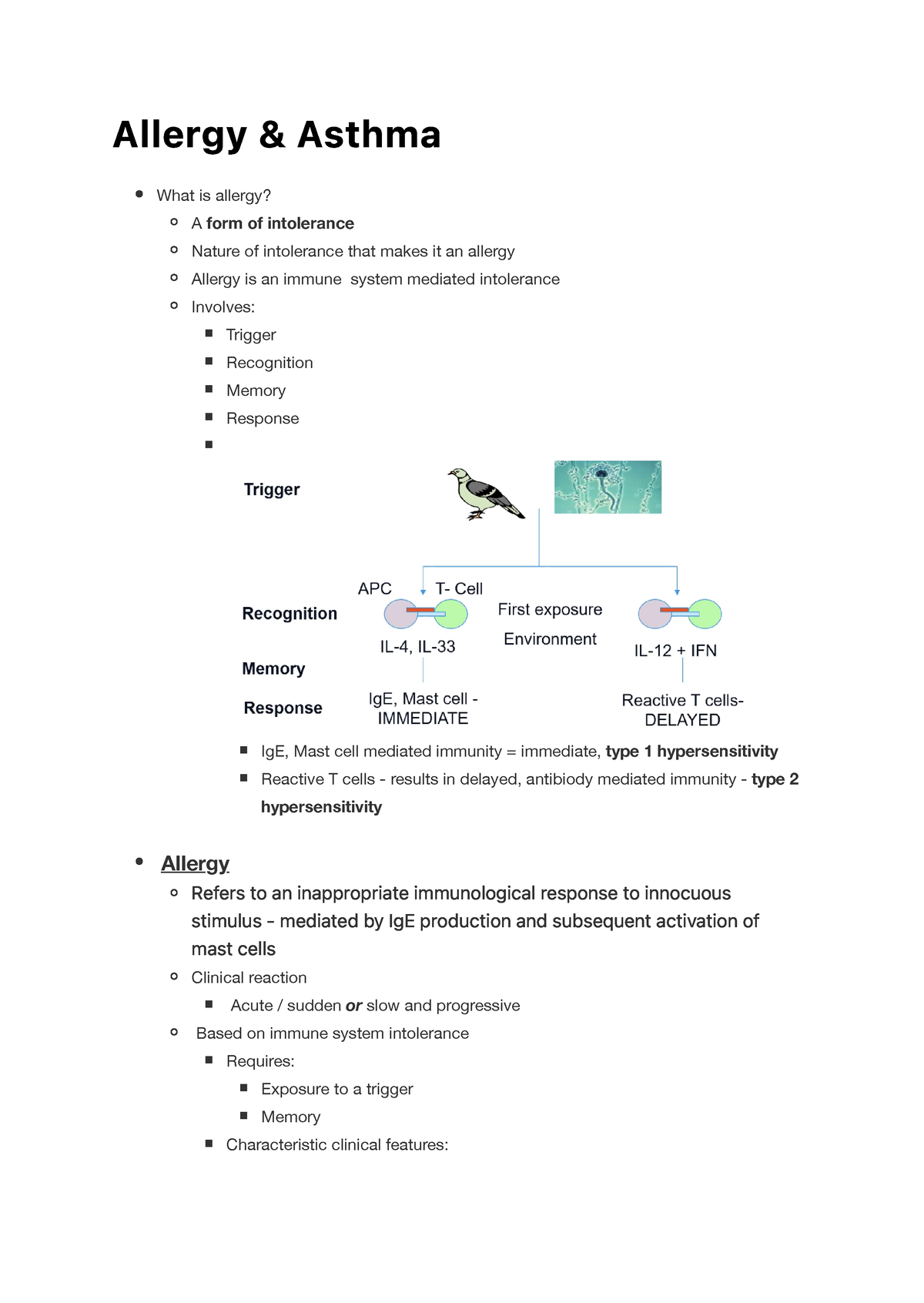 Allergy And Asthma - A L L E Rg Y & As T H M A What Is Allergy? A Form ...