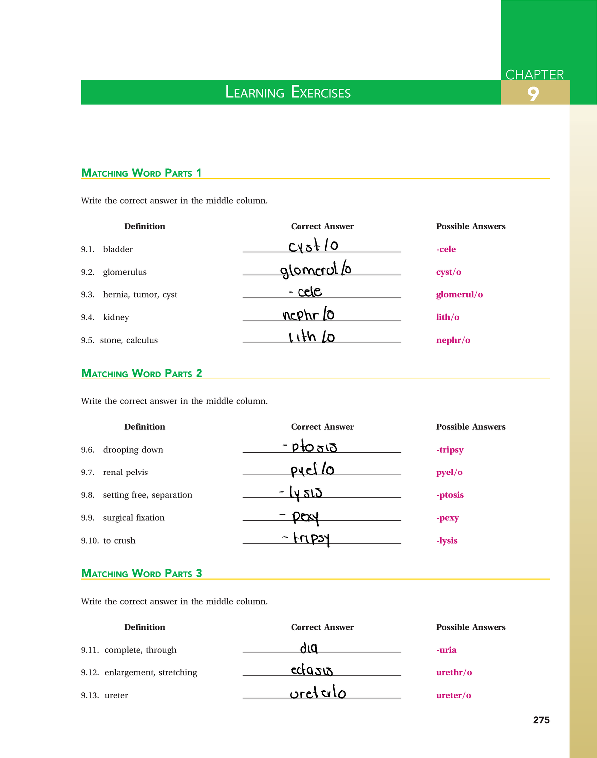 chapter-9-capitulos-del-libro-learning-exercises-9-matching-word