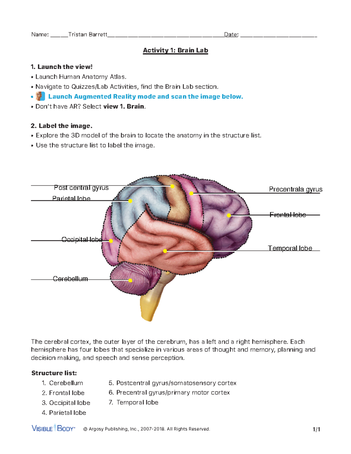 Brain-lab-activity - its the brain lab - © Argosy Publishing, Inc ...