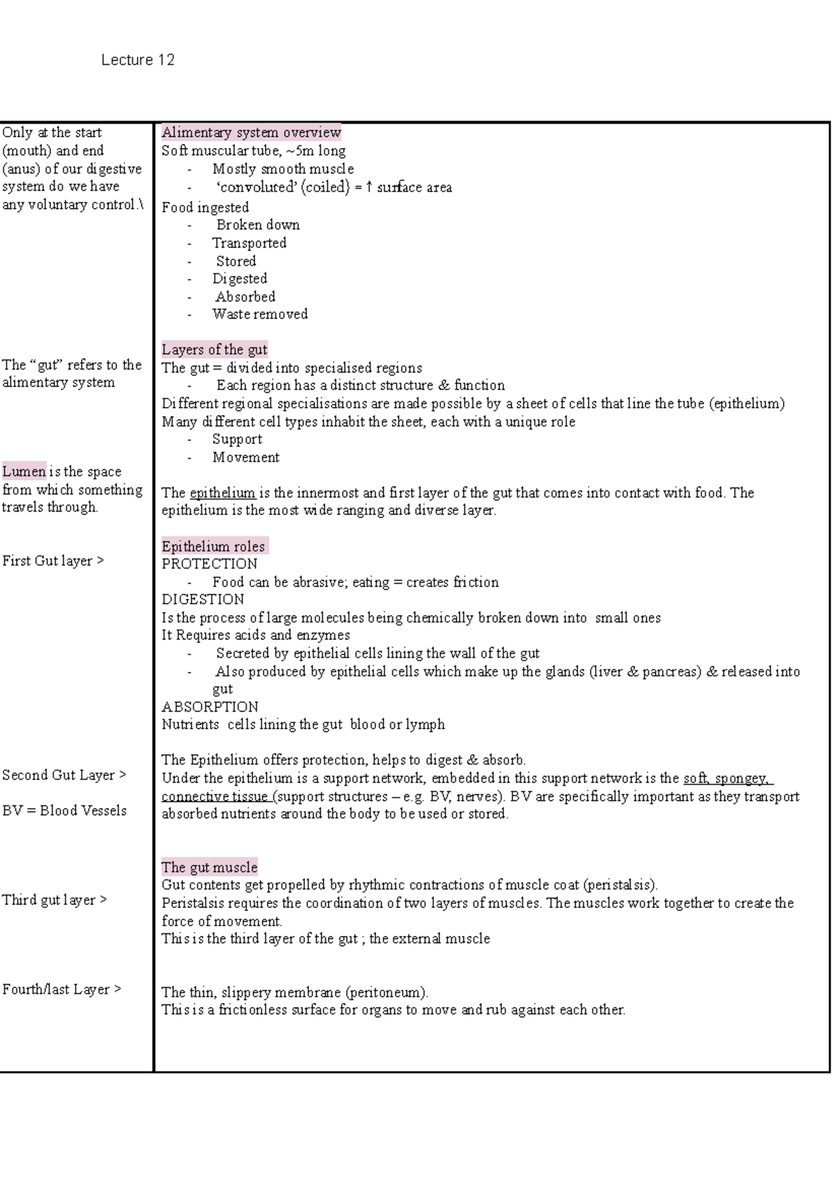 Alimentary System Annotated lecture notes Only at the start (mouth
