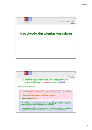 Inflorescencia v2 - Exercícios Botânica - Botânica Licenciatura em ...