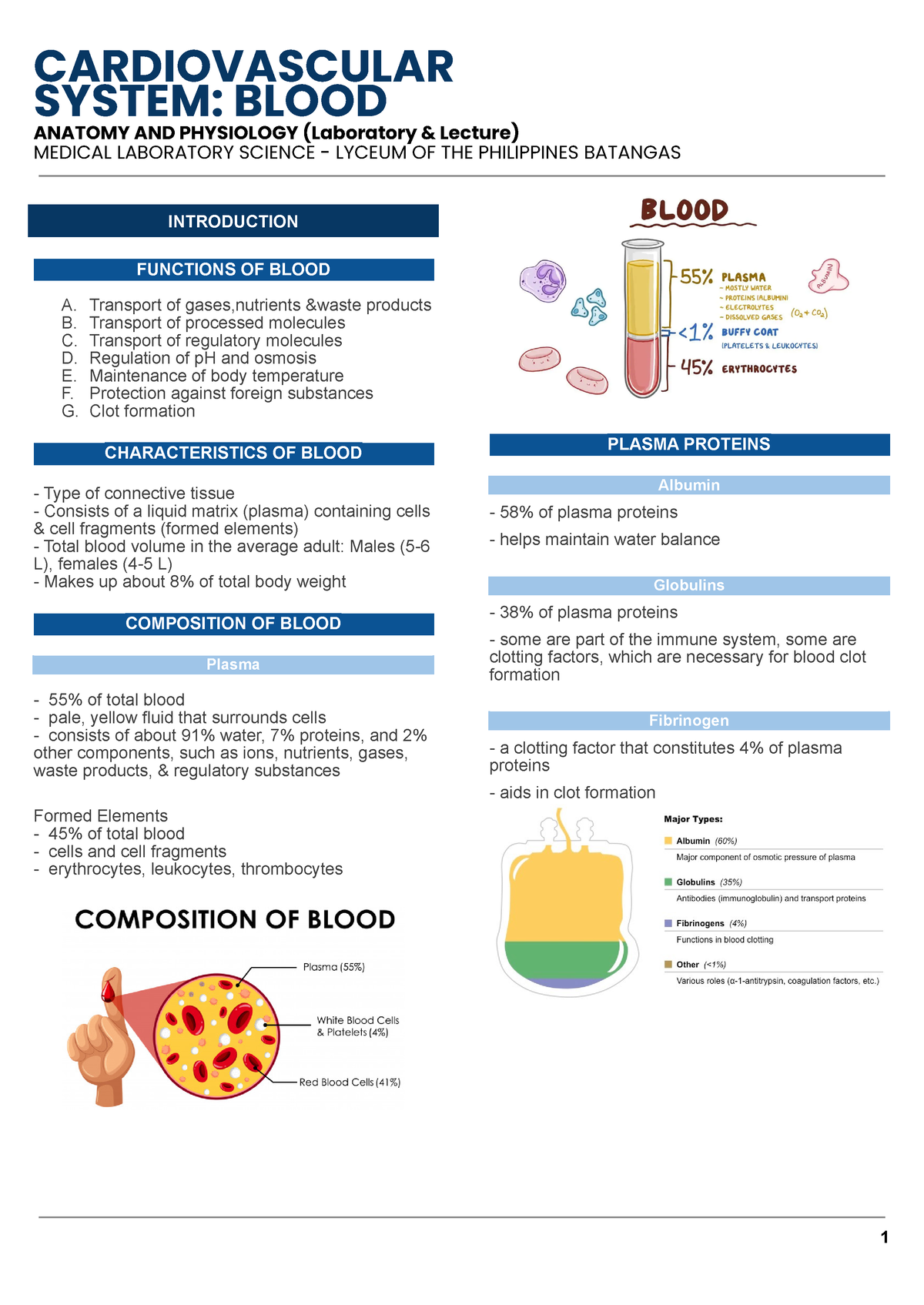 CV - Blood- System Anaphy - SYSTEM: BLOOD ANATOMY AND PHYSIOLOGY ...