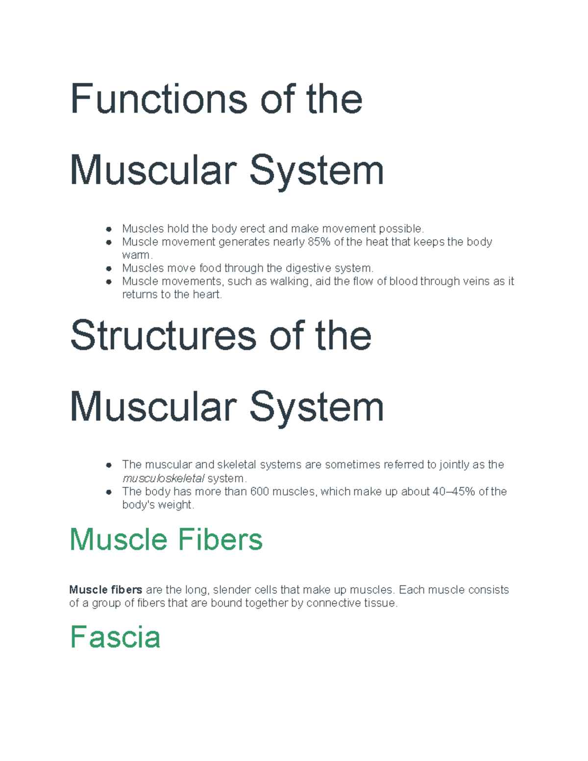 Functions of the Muscular System - Functions of the Muscular System ...