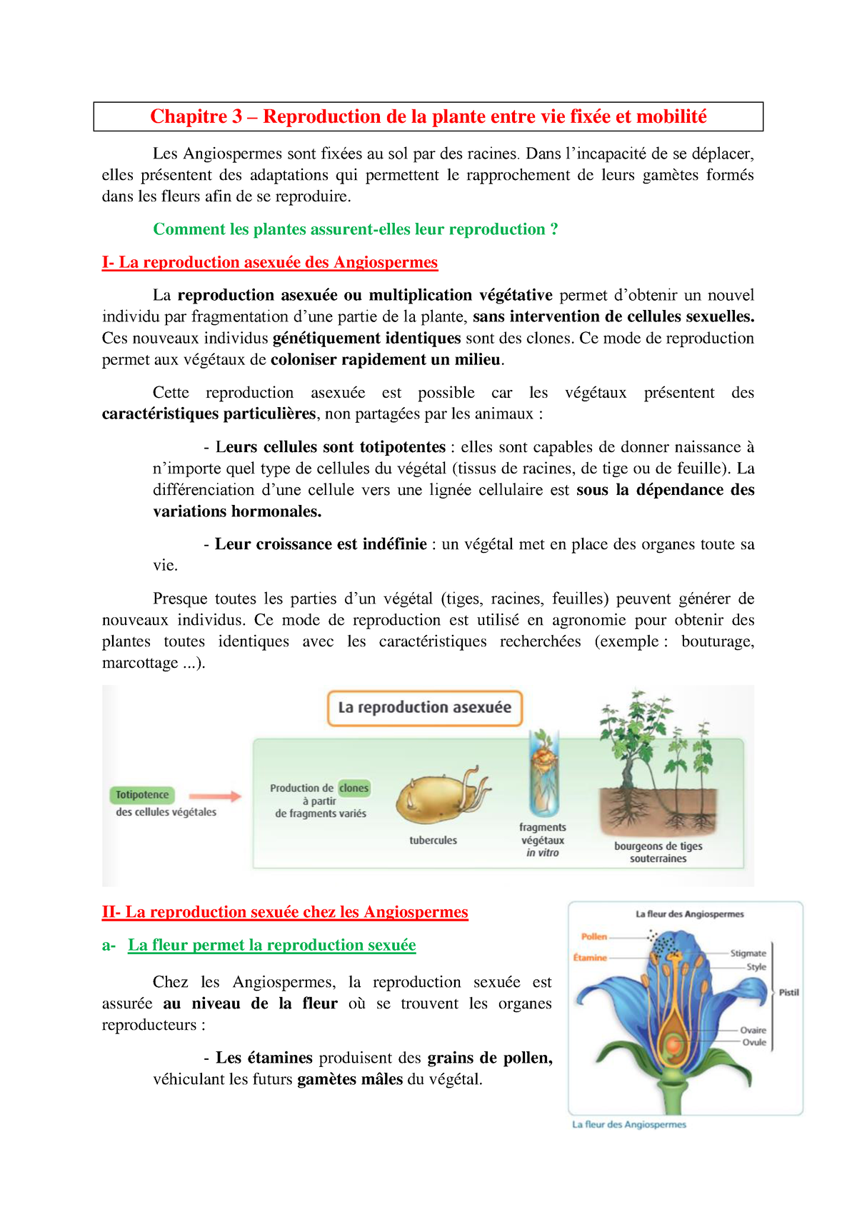 Chapitre 3 Plantes Chapitre 3 Reproduction De La Plante Entre Vie Fixée Et Mobilité Les 