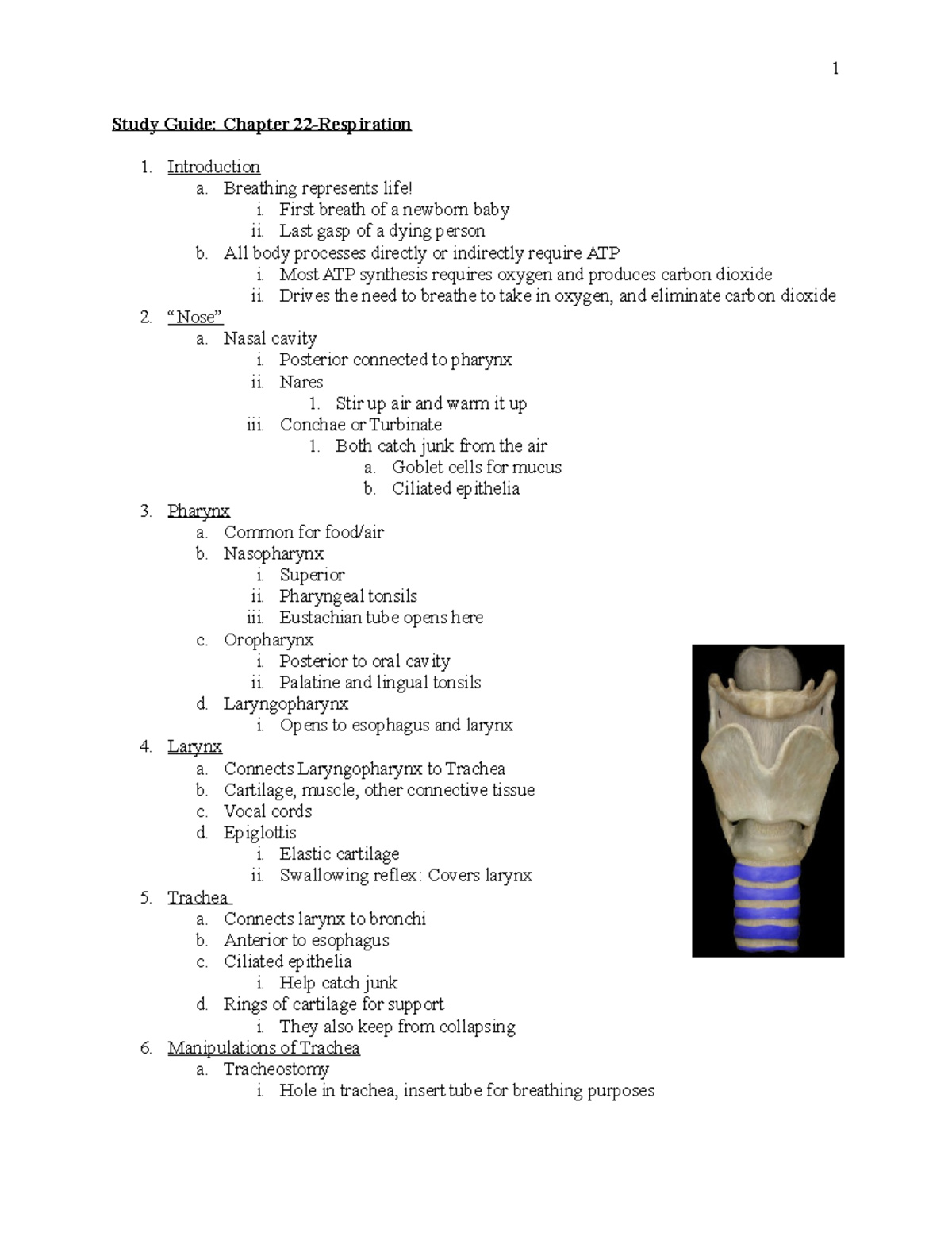 Chapter 22 Study Guide - Lecture notes 22 - 1 Study Guide: Chapter 1 ...