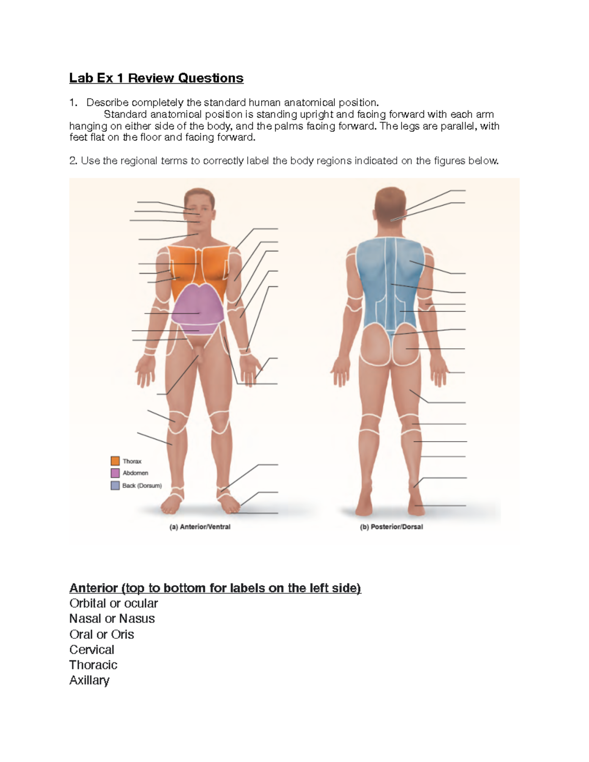 Lab homework ex 1PDF - Pearsons lab book review questions end of