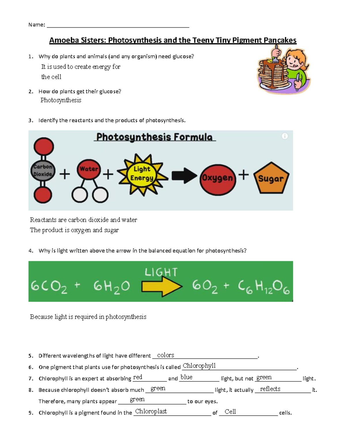 Amoeba sisters photosynthesis video wksh - BIO 353 - ASU - Studocu