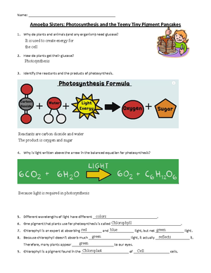 [Solved] The history of Mangold Spemann and the organizer experiments ...