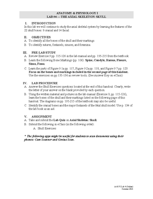 The Bones of the Skull, Human Anatomy and Physiology Lab (BSB 141)