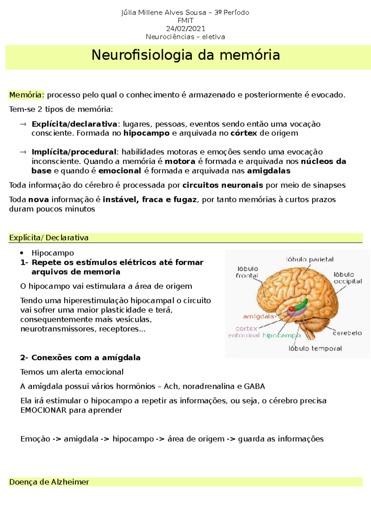 Memória e a função da amígdala