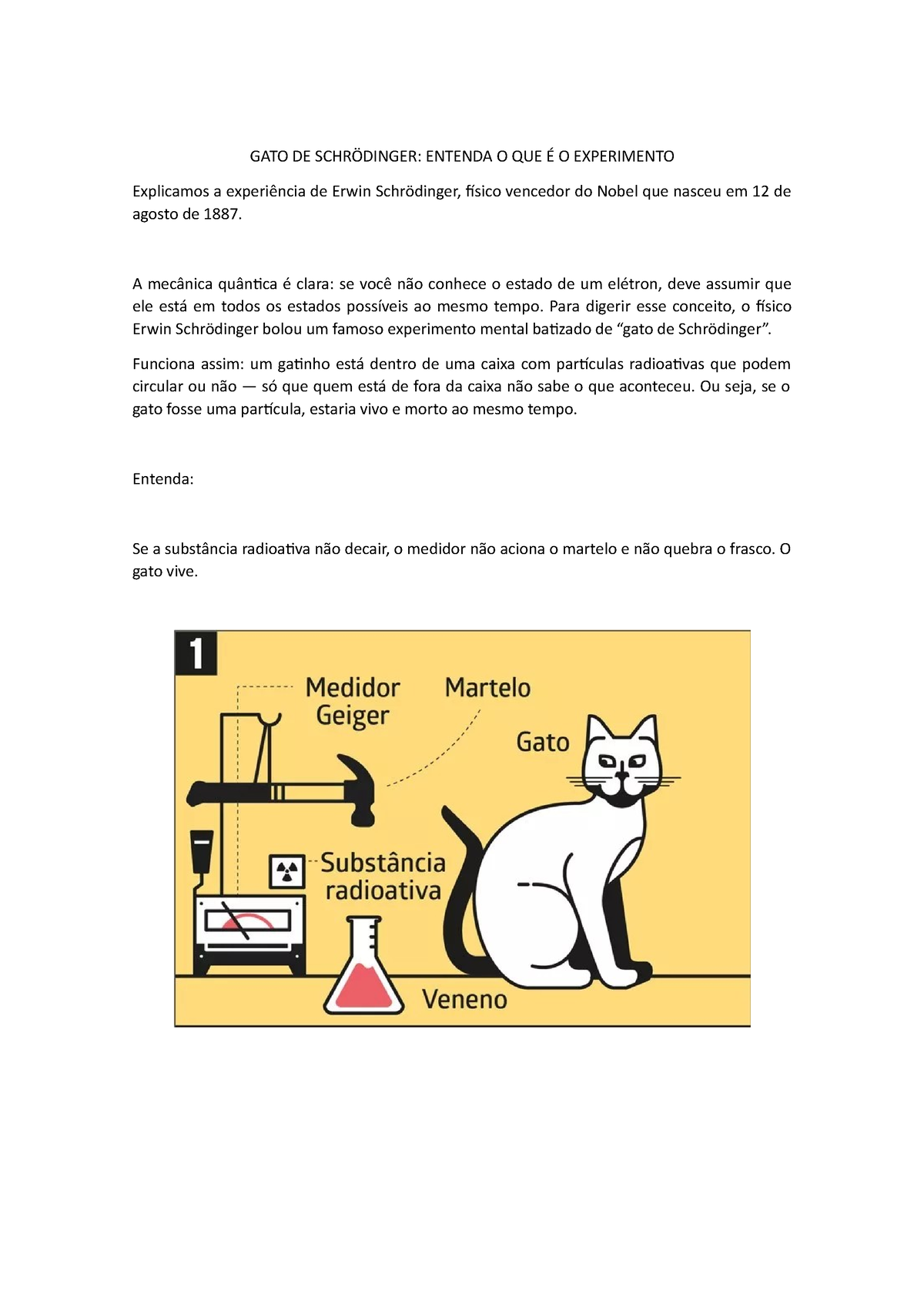 O que é o Gato de Schrödinger?