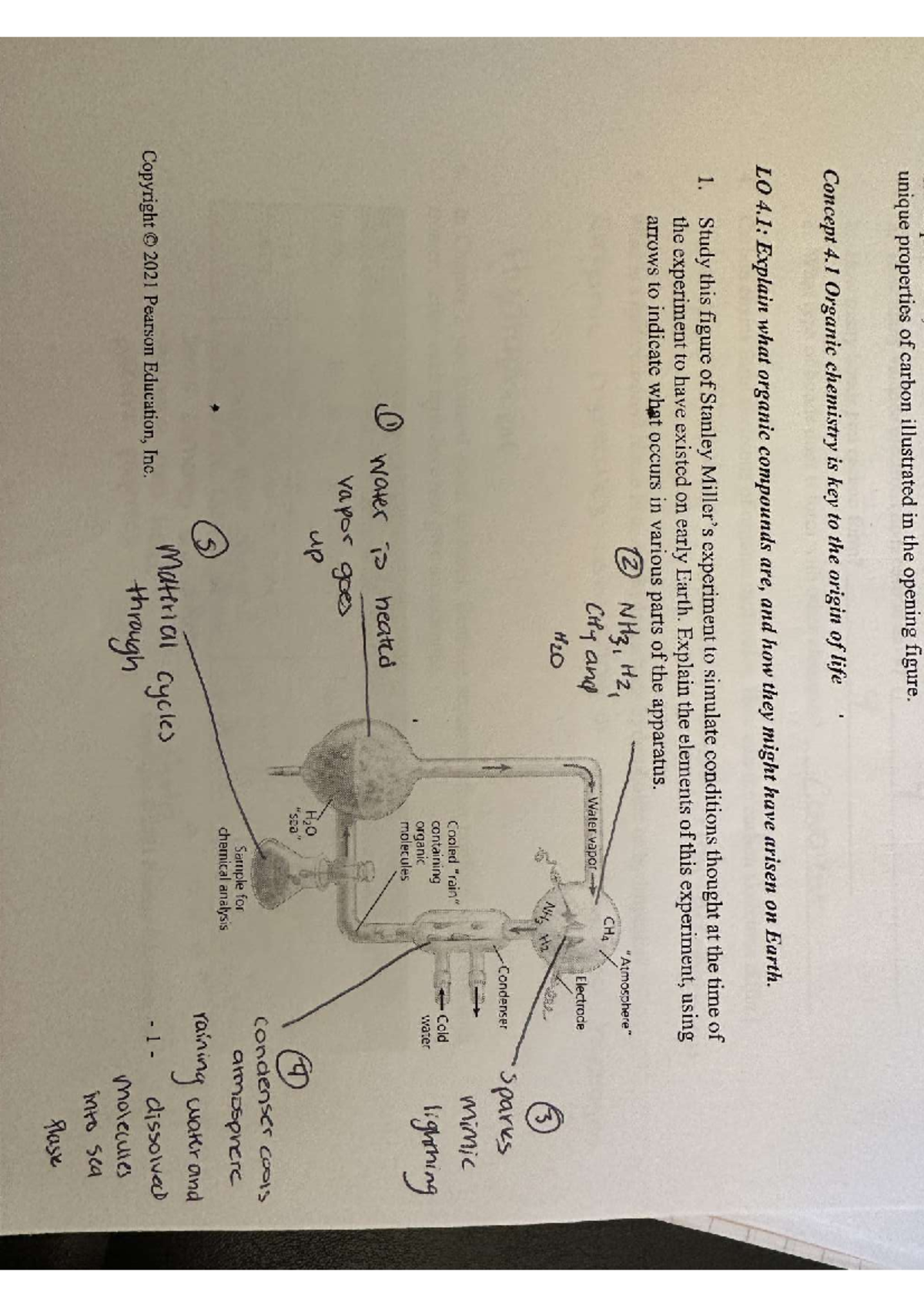 IMG 0333 - Study Guide Material - BSC2010 - Studocu