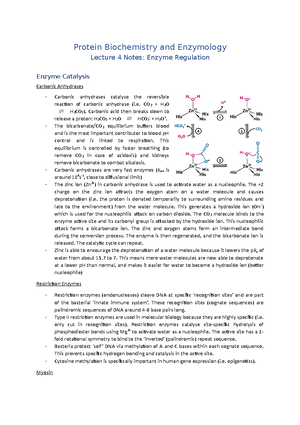 Lecture 2 Notes (Enzyme Structure and Mechanisms) - Protein ...