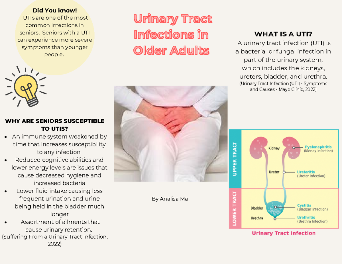 Uti Pamphlet Urinary Tracturinary Tract Infections In Infections In Older Adults Older Adults