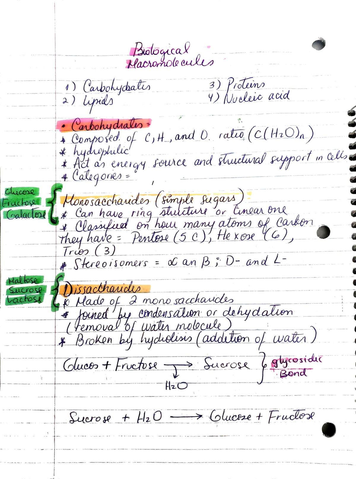 Macromolecules - BSC2010 - Studocu