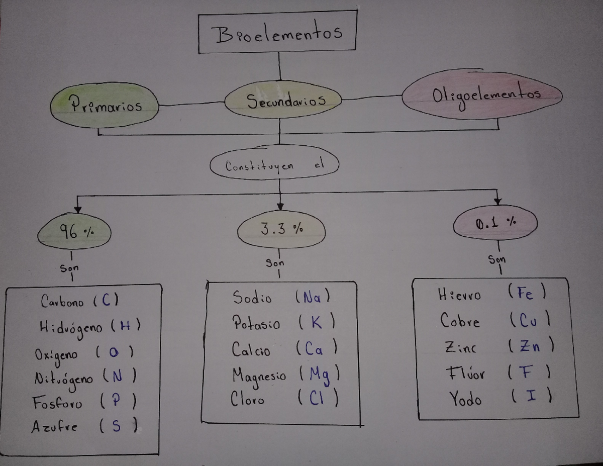 Bioelementos - Biología Molecular - Studocu