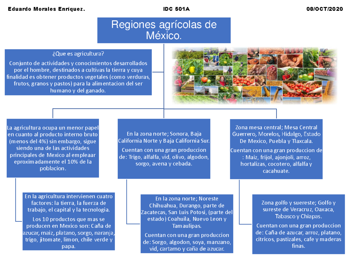 regiones-agricolas-de-mexico-regiones-agr-colas-de-m-xico-la