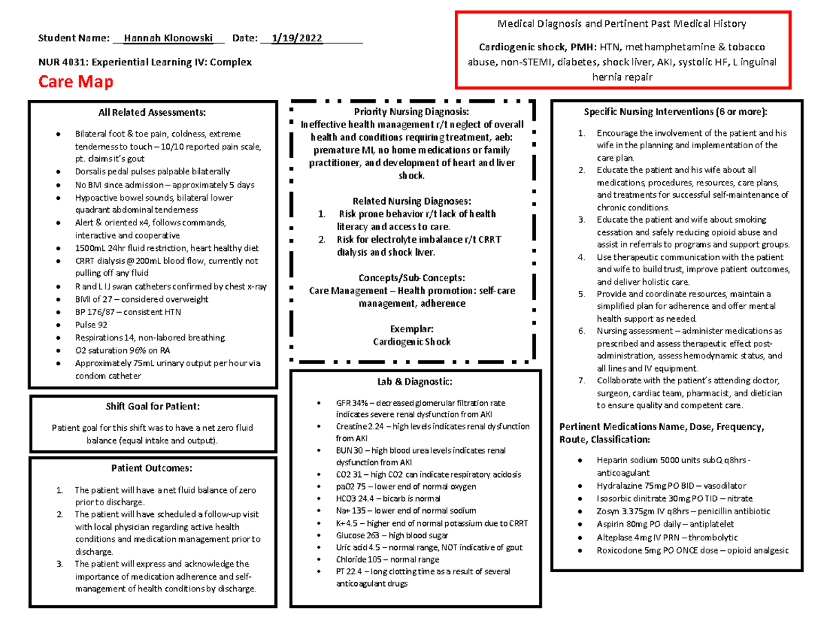ELIV Care Map #1 - patient care map and exemplar - NUR 4031 - Studocu