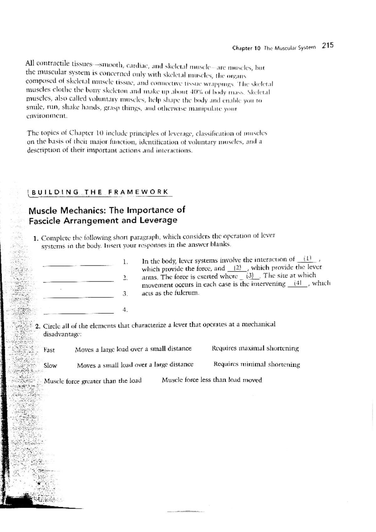Edited - Joshua Acosta - A & P Ch. 10 Packet - PSYC 72 - Studocu