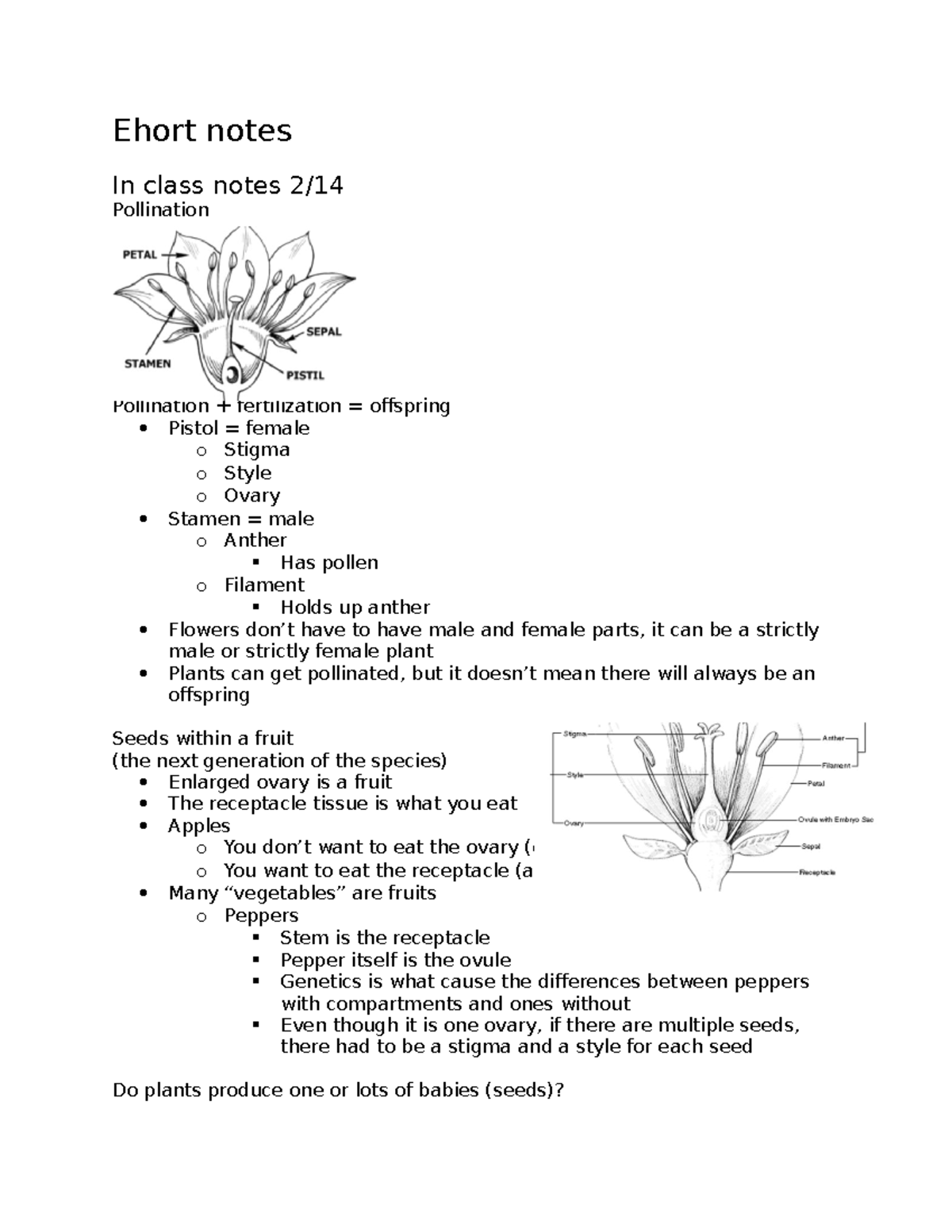 Ehort notes up to exam 2 - Ehort notes In class notes 2/ Pollination ...