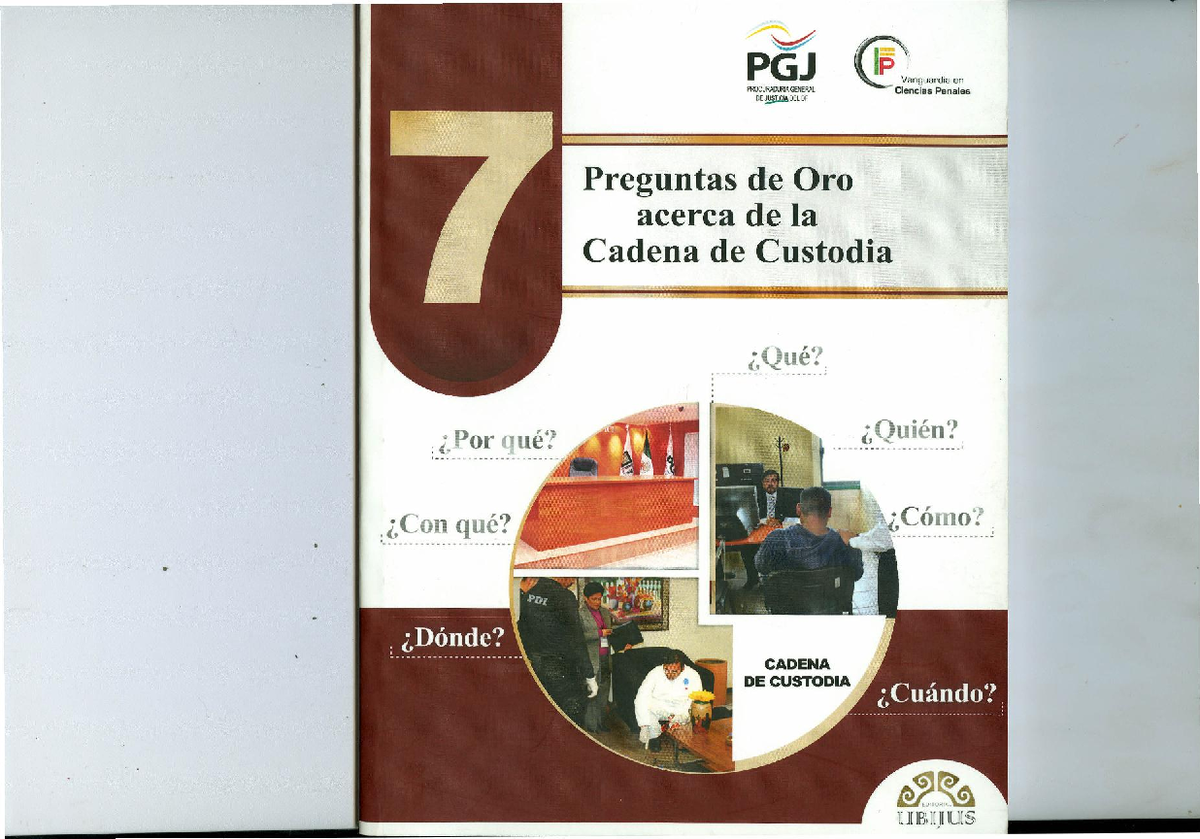 7 Preguntas DE ORO Acerca DE LA Cadena DE Custodia - .i; Por que
