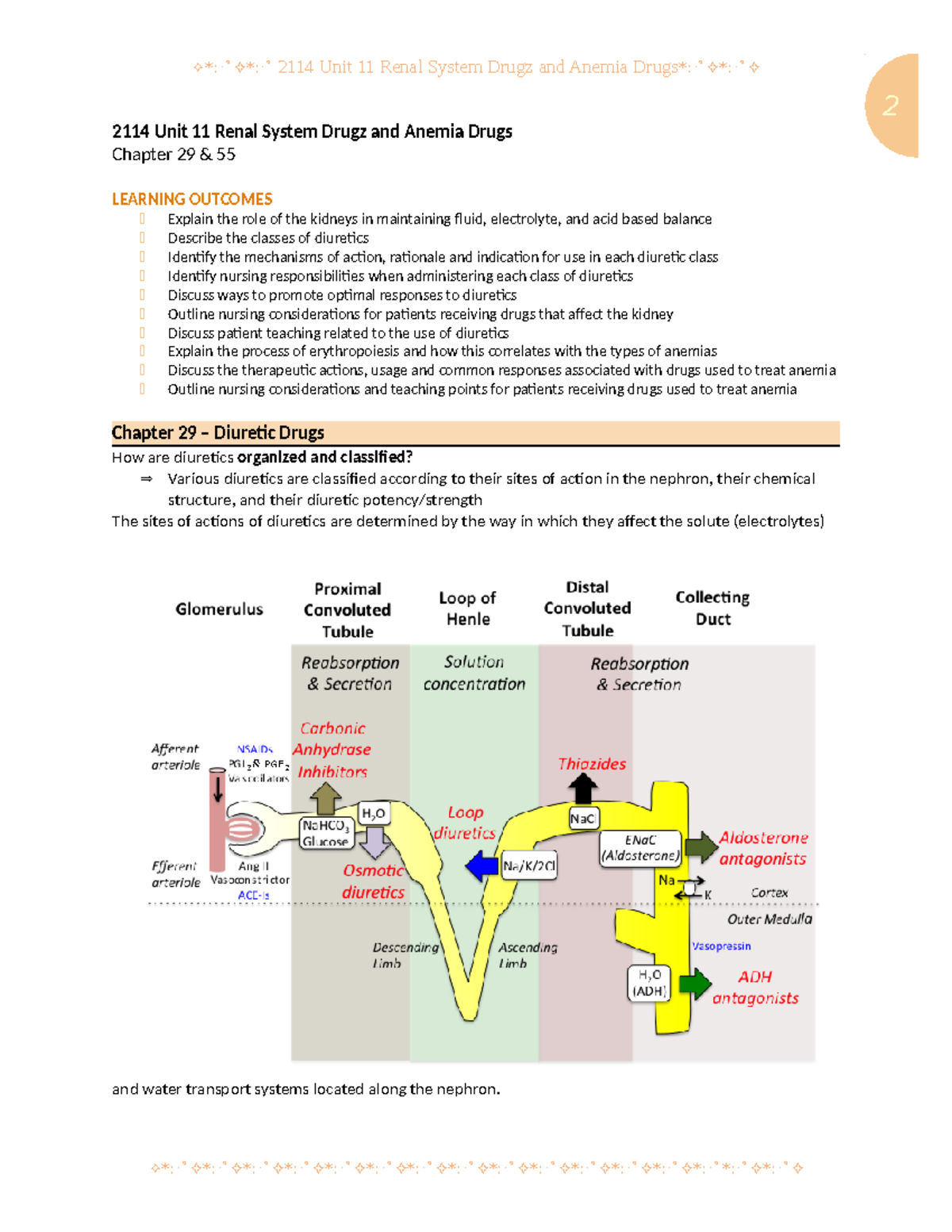 Renal - notes - 2 2114 Unit 11 Renal System Drugz and Anemia Drugs ...