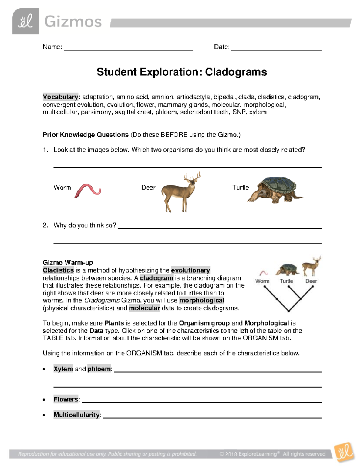 Cladograms SE - For - Name: Date: Student Exploration: Cladograms ...