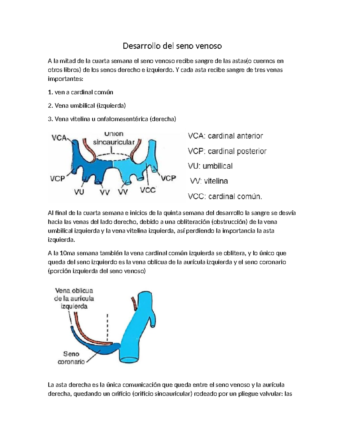 Desarrollo del seno venoso - Y cada asta recibe sangre de tres venas ...