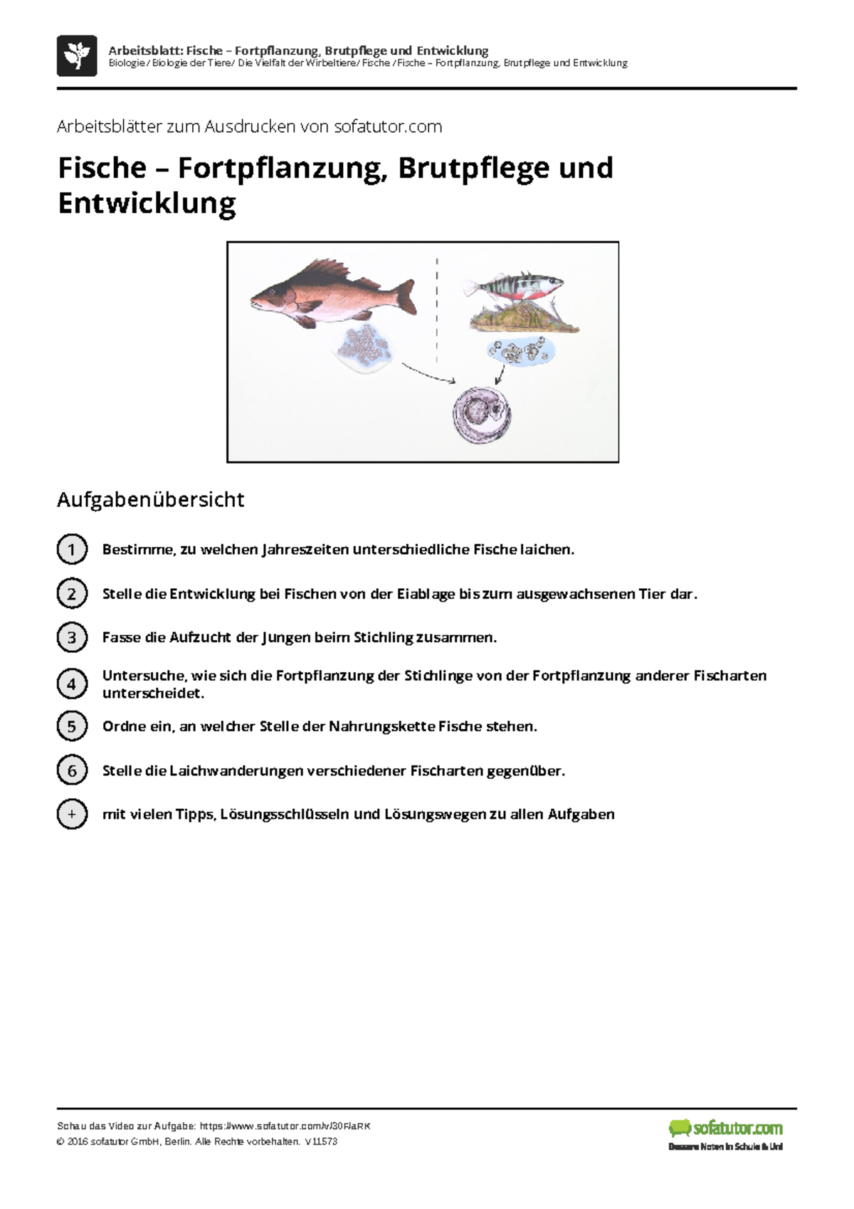 Sofatutor Arbeitsblätter
 Fortpflanzung Übungen Arbeitsblatt Arbeitsblätter zum Ausdrucken von