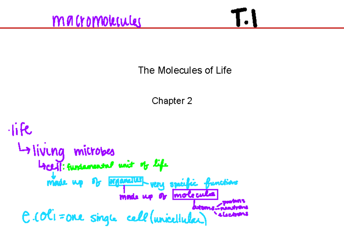 BIO 205 Ch 2 Topic 1 Notes The Molecules of Life Chapter 2
