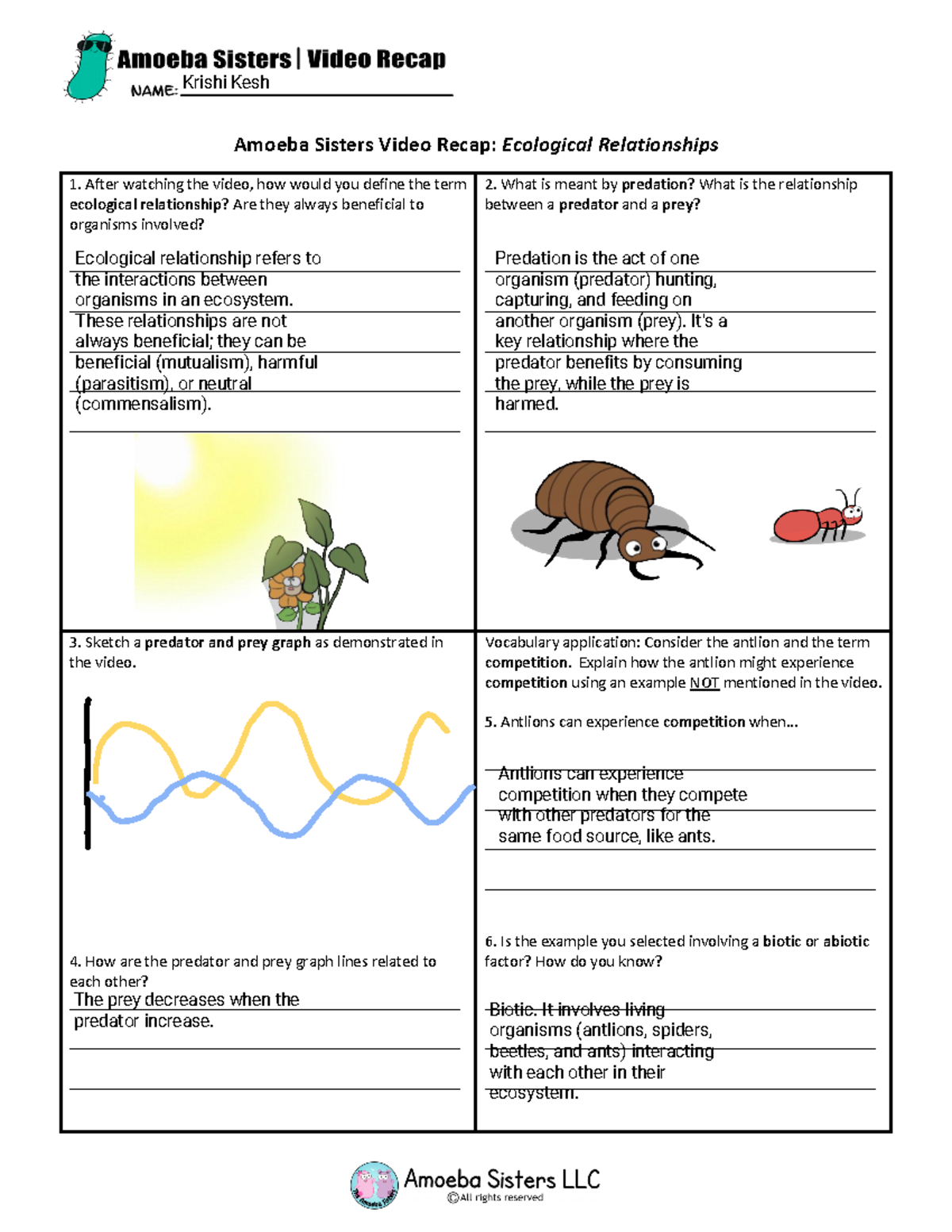 Amoeba Sisters - Ecological Relationships - Amoeba Sisters Video Recap:  Ecological Relationships - Studocu