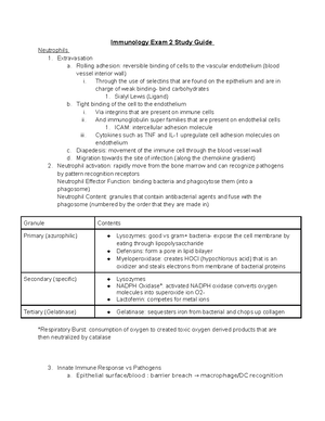 Immunology Exam 4 Study Guide - Immunology Exam 4 Study Guide T Cell ...