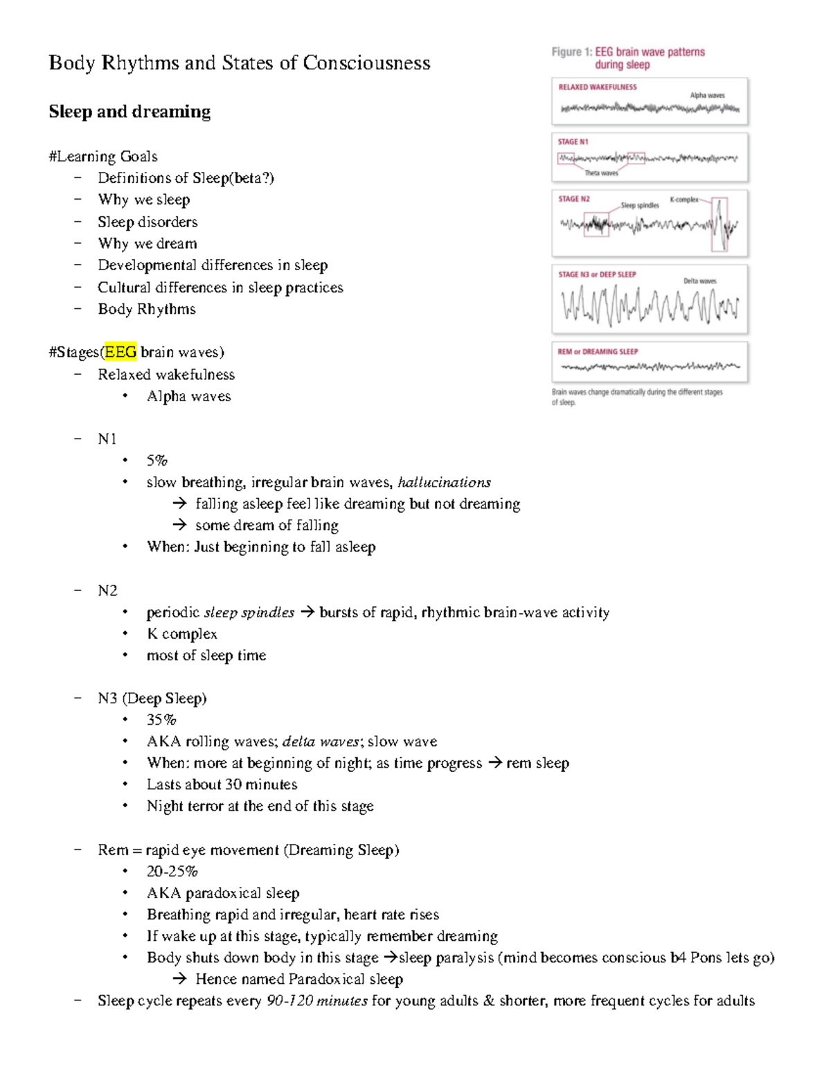 Body Rhythms And States Of Consciousness - → Elephant 3. → Pilot Whale ...