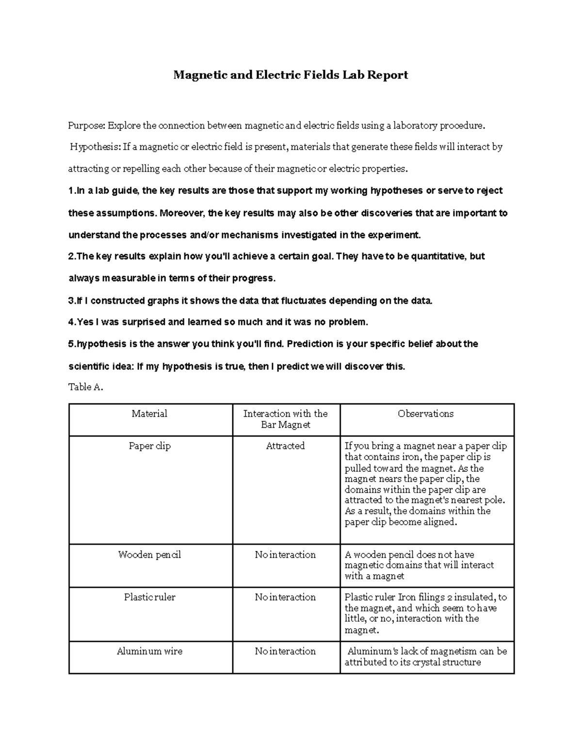 lab magnetic and electric fields assignment lab report active