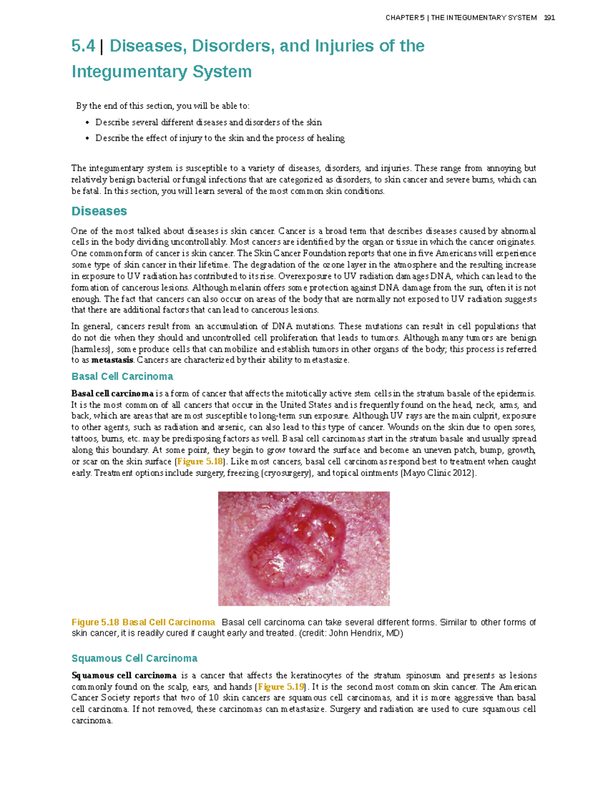 Anatomy-physiology-67 - 5 | Diseases, Disorders, and Injuries of the ...