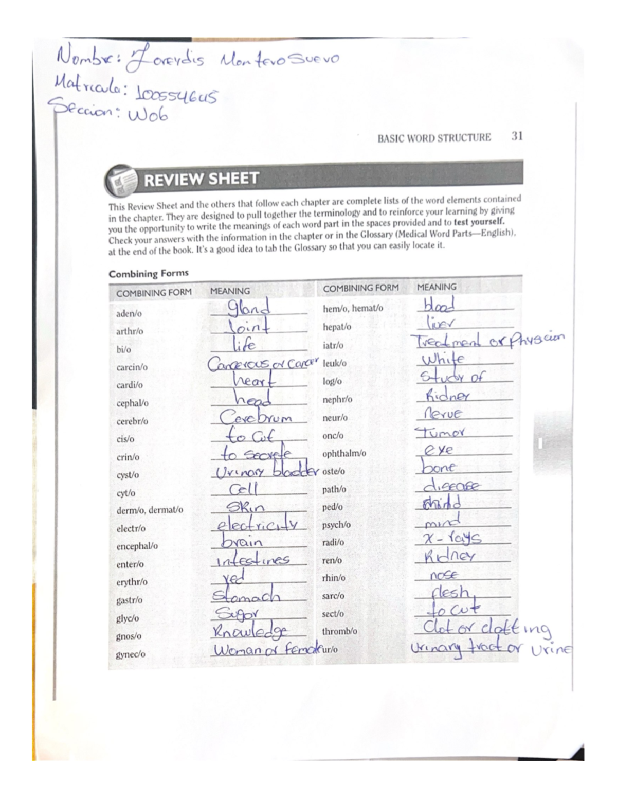 Basic WORD Structure - Inglés - Nombr: Loreydis Mon two Suevo Matricula ...