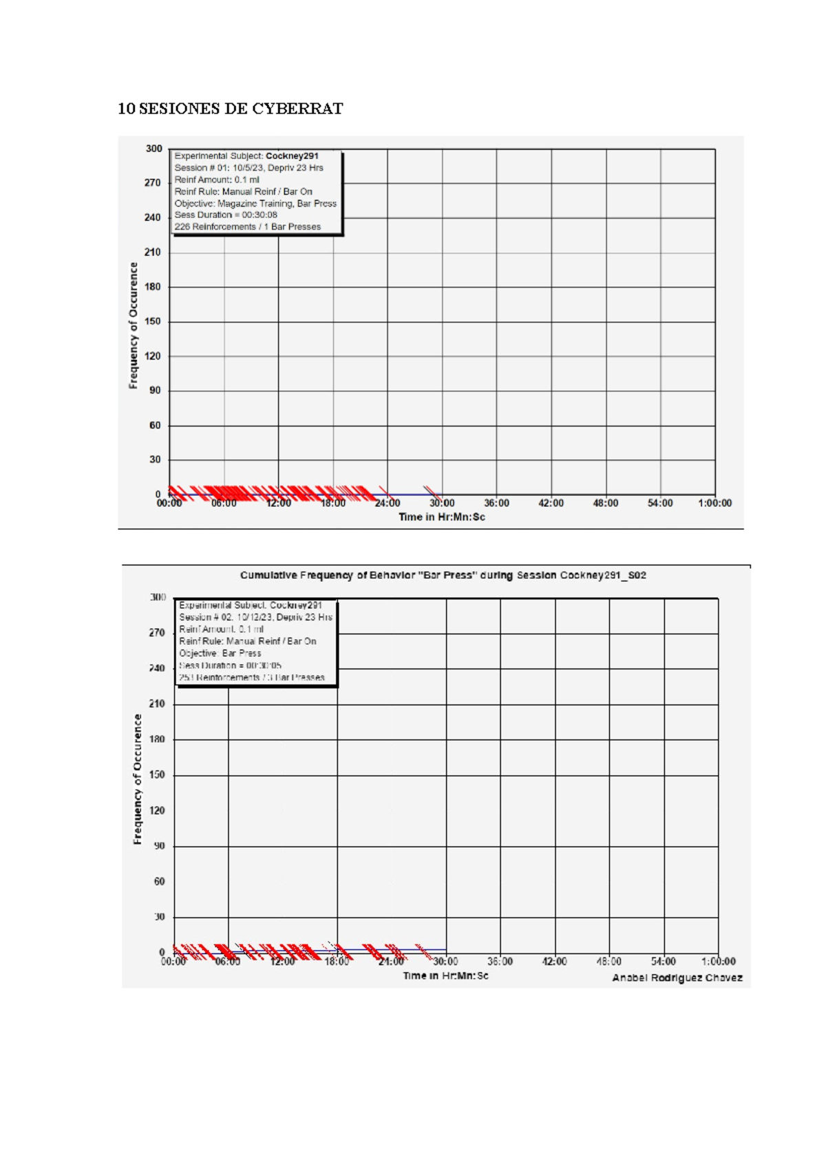10 Sesiones DE Cyberrat - Conocimientos específicos 2 - 10 SESIONES DE ...