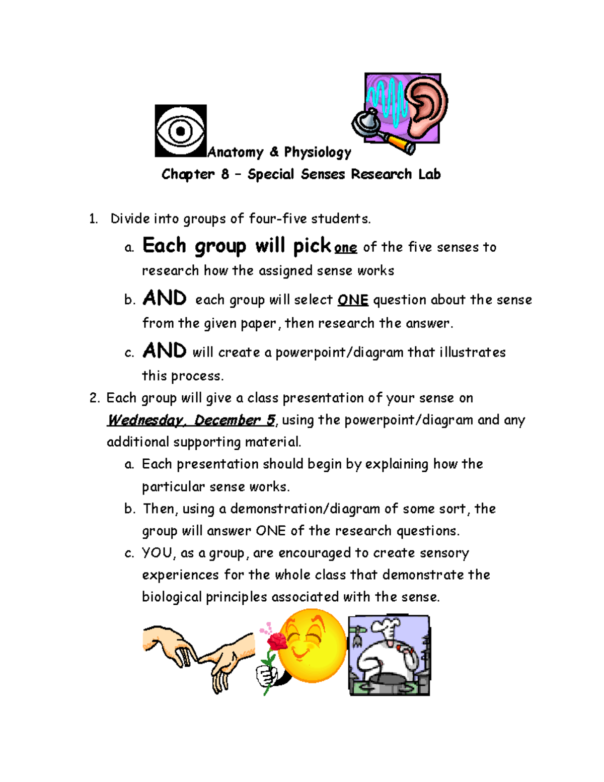 Intro A P Chpt 8 Special Senses group activity lab Anatomy
