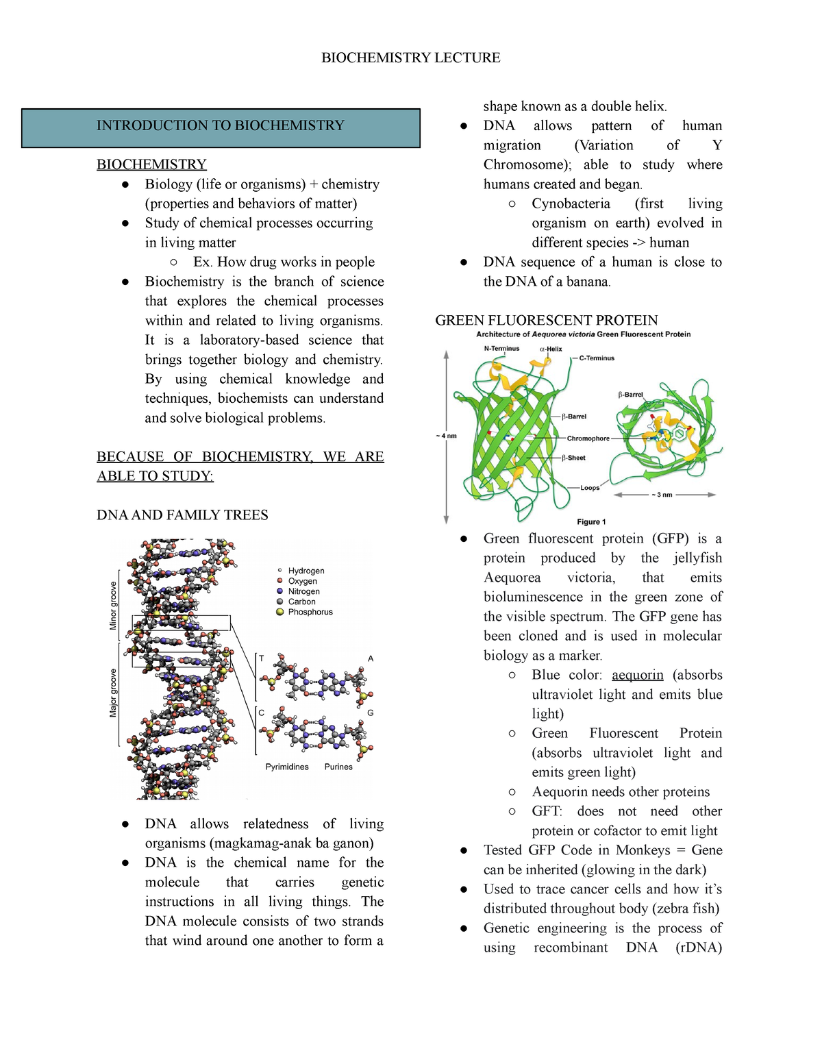 Biochemistry Lecture - INTRODUCTION TO BIOCHEMISTRY BIOCHEMISTRY ...